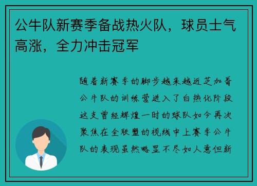 公牛队新赛季备战热火队，球员士气高涨，全力冲击冠军