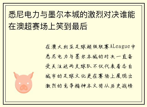 悉尼电力与墨尔本城的激烈对决谁能在澳超赛场上笑到最后